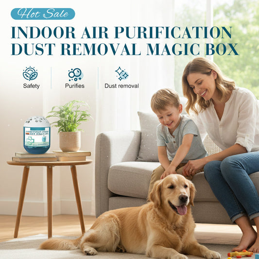 🔥2026 New Collection - Indoor Air Purification Dust Removal Magic Box🏠🌿