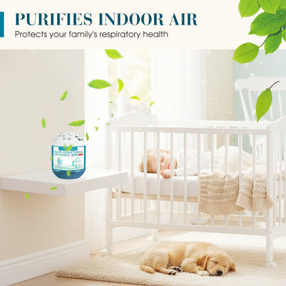 🔥2026 New Collection - Indoor Air Purification Dust Removal Magic Box🏠🌿