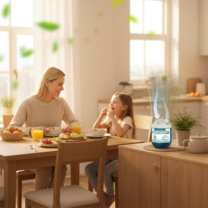 🔥2026 New Collection - Indoor Air Purification Dust Removal Magic Box🏠🌿