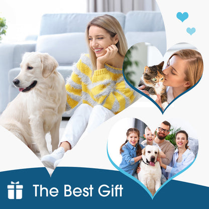 Anti-Itch Ear Cleaner for Dogs & Cats